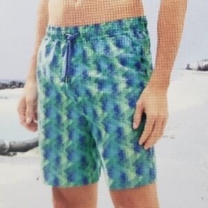 Crane Blue and Green Swim Shorts